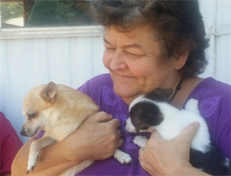 A Roof Over Her Head A Roof Over Her Head